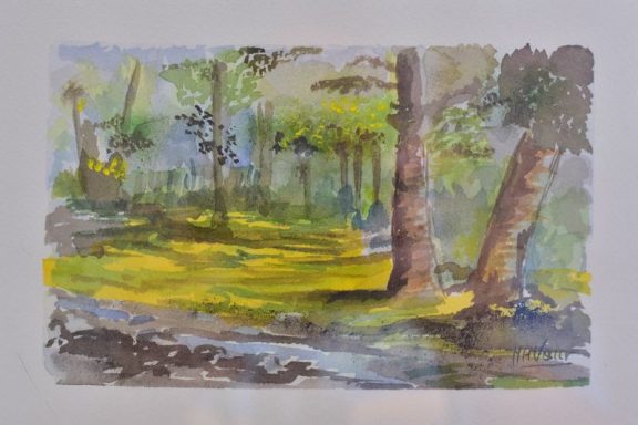 Sous-bois